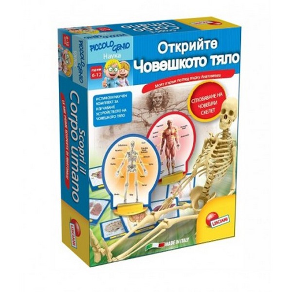 Продукт Lisciani Малкият гений - Открийте човешкото тяло  - 0 - BG Hlapeta